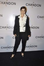 Simone Singh at Moet Hennesey launch of Chandon wines made now in India in Four Seasons, Mumbai on 19th Oct 2013